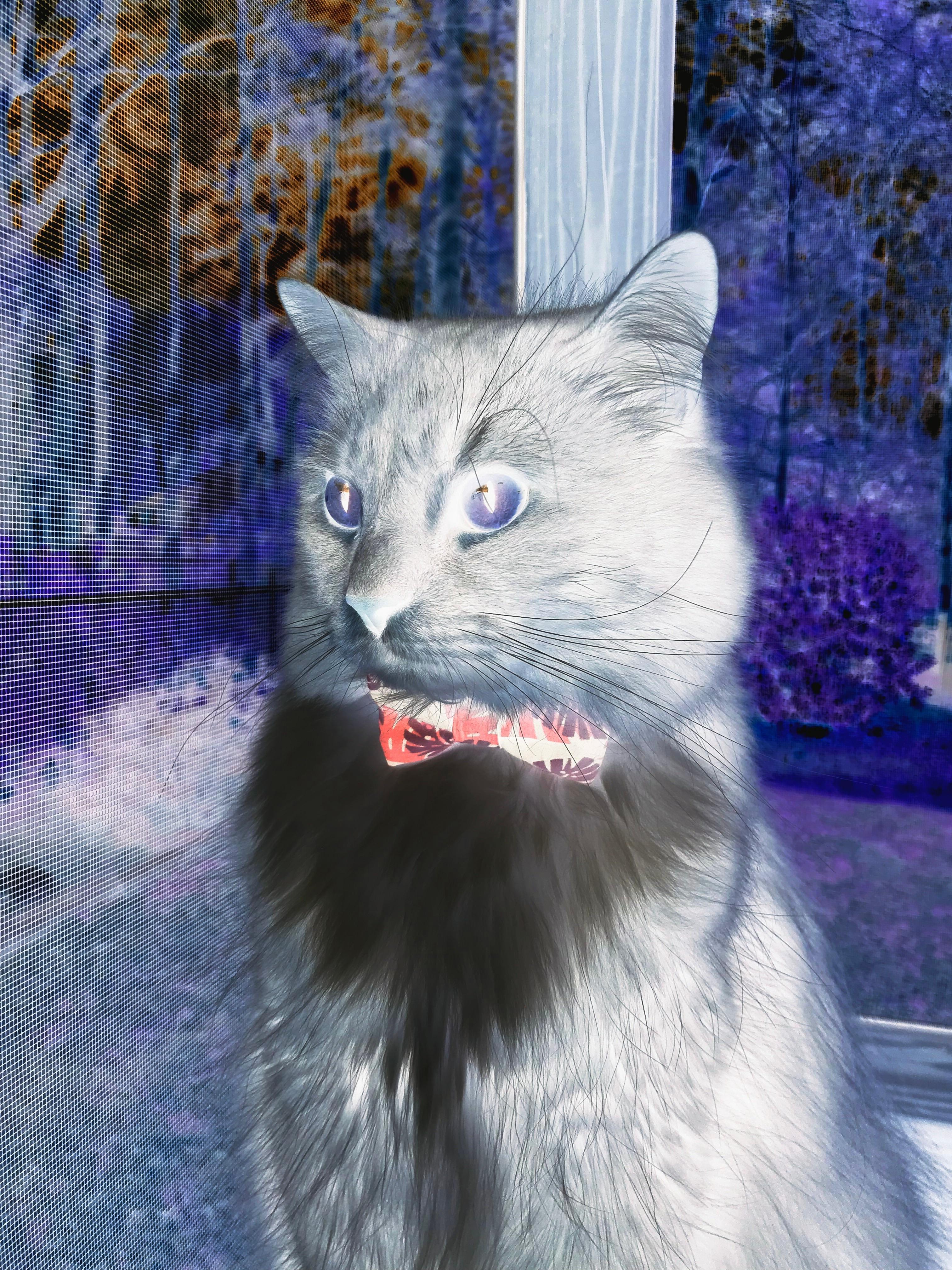 爱游戏体育（AYX）官方APP下载-“校园足球推广计划持续推进，青少年运动热情高涨”，校园足球的推广