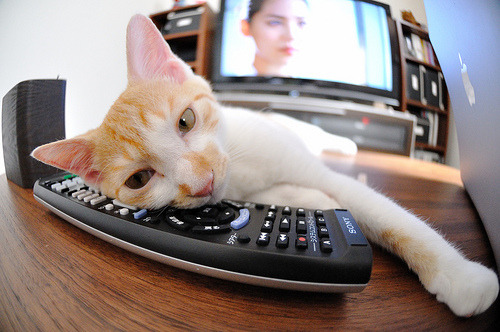 爱游戏官网-“激烈争夺！开幕战中的精彩瞬间和策略较量”，开幕战什么意思