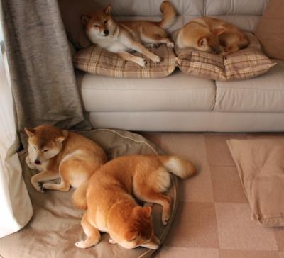 【哈珀的火热状态】费城明星稳定输出全垒打,哈珀dc