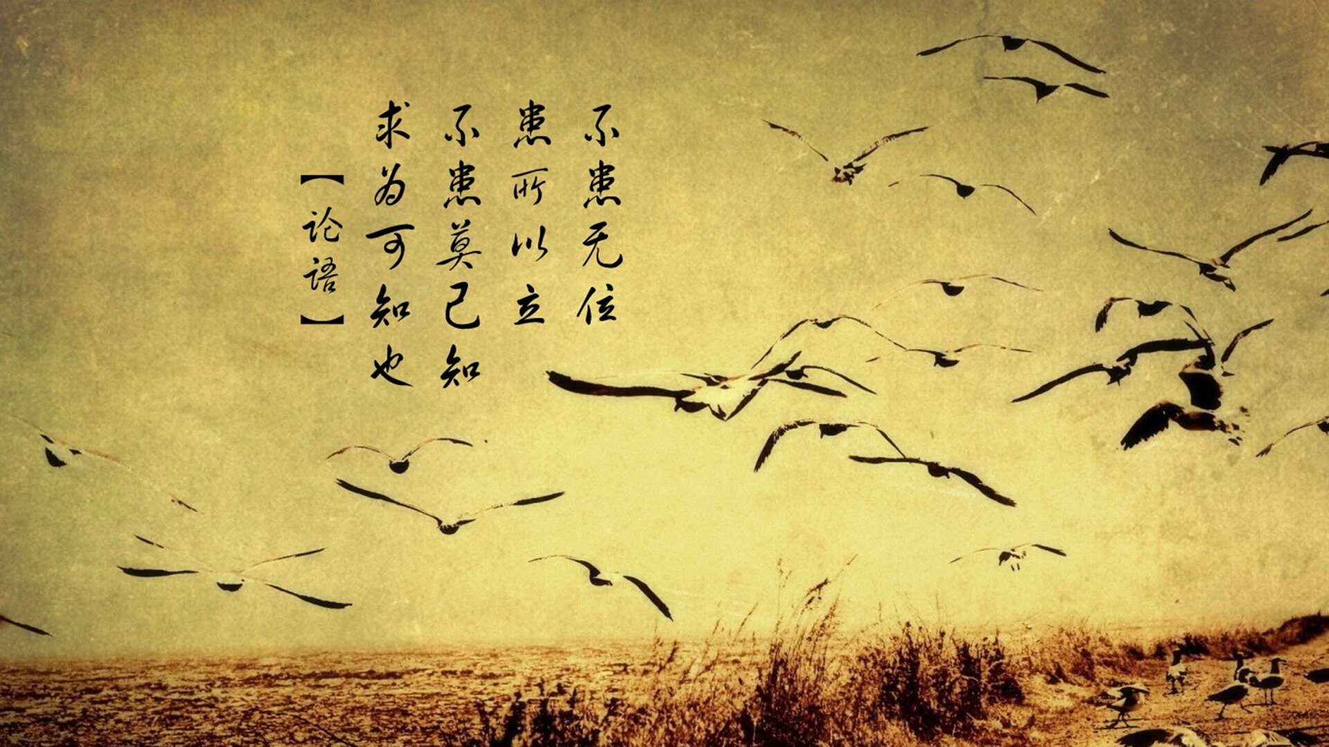 北京篮球场馆全面升级,改善青少年运动环境,北京篮球比赛场地