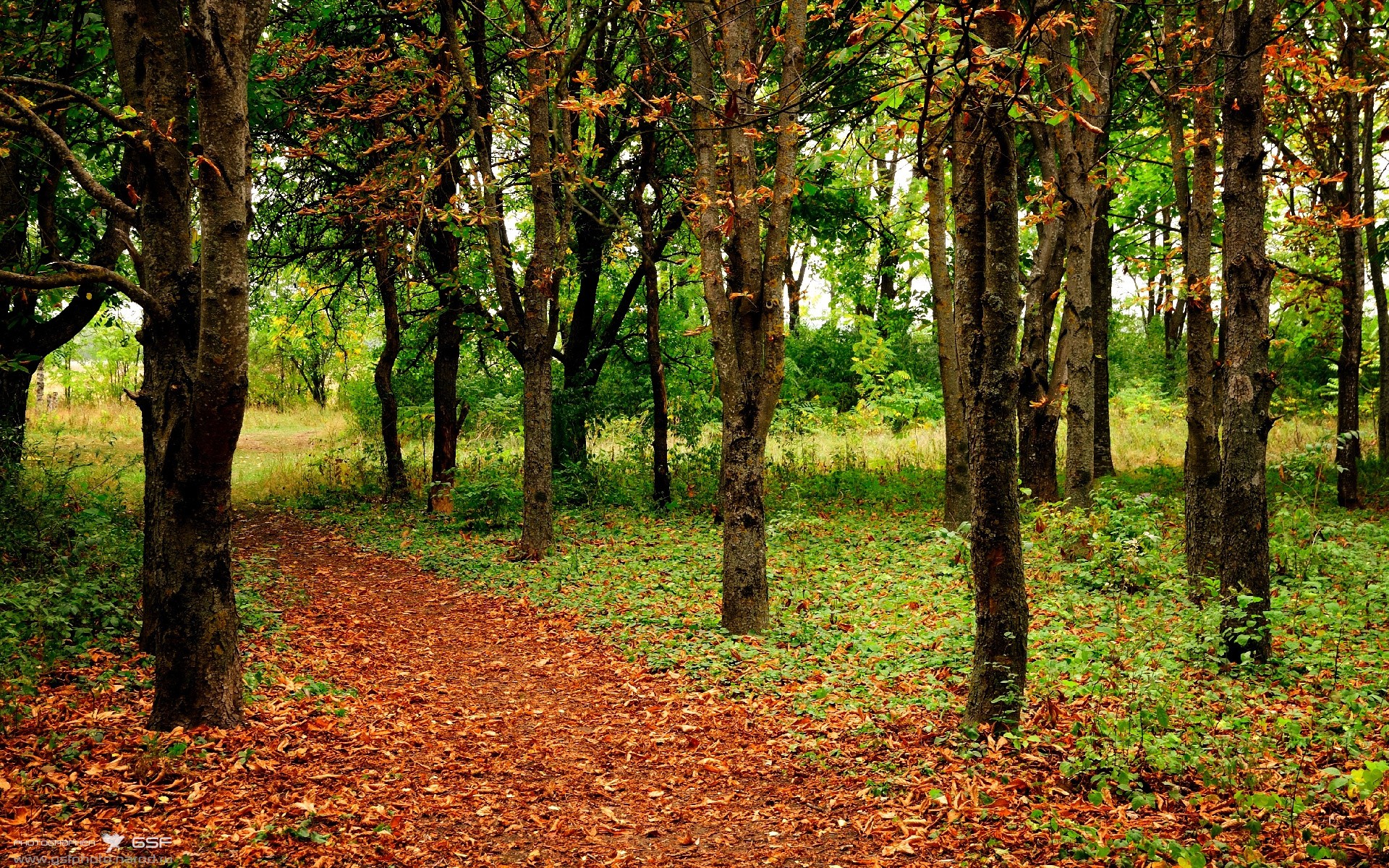 AYX官网-电竞比赛中的心理战：选手的情绪管理与策略调整，电竞心理理论
