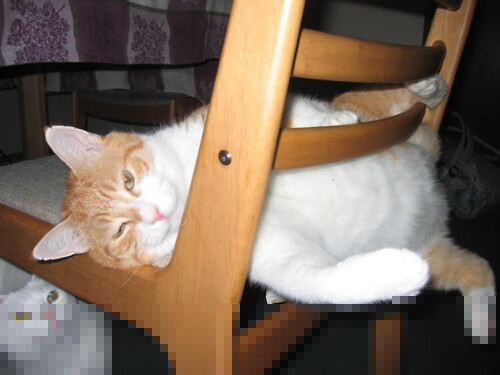 英超:阿森纳大胜沃特福德,士气大振追赶领头羊,英超联赛阿森纳