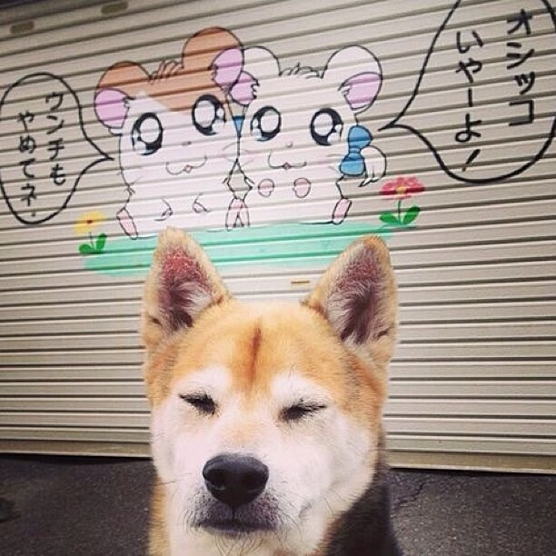 爱游戏中国官方网站平台-塔图姆四十分绿军主场狂胜