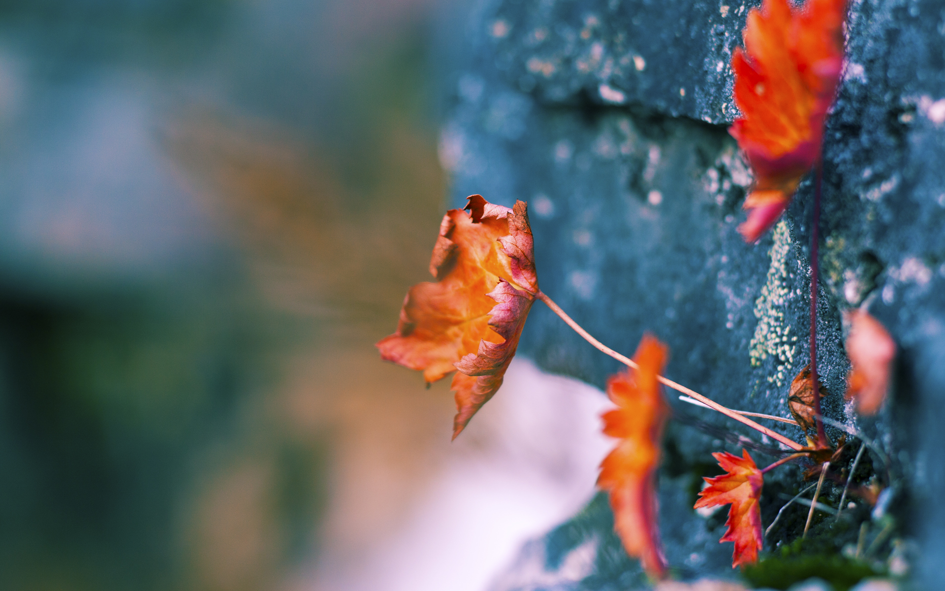塞维利亚客场2-2战平莱加内斯,保级希望仍在,塞维利亚西甲