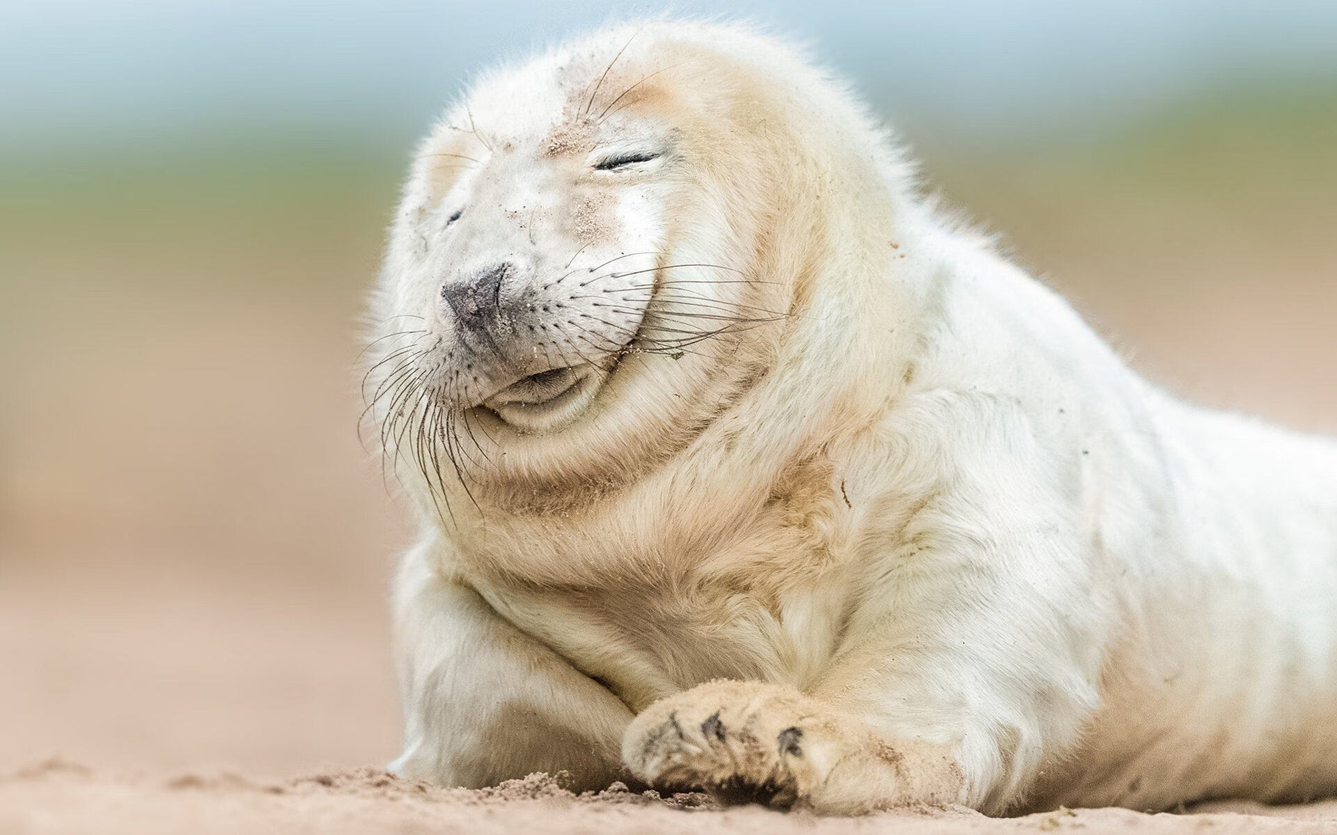 爱游戏娱乐网址-曼联1-1阿斯顿维拉，主场平局，曼联对阿斯顿维拉首发