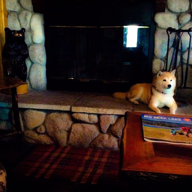 欧洲预选赛中的佳绩:一支弱队突然崛起!,欧洲预选赛踢完了吗_