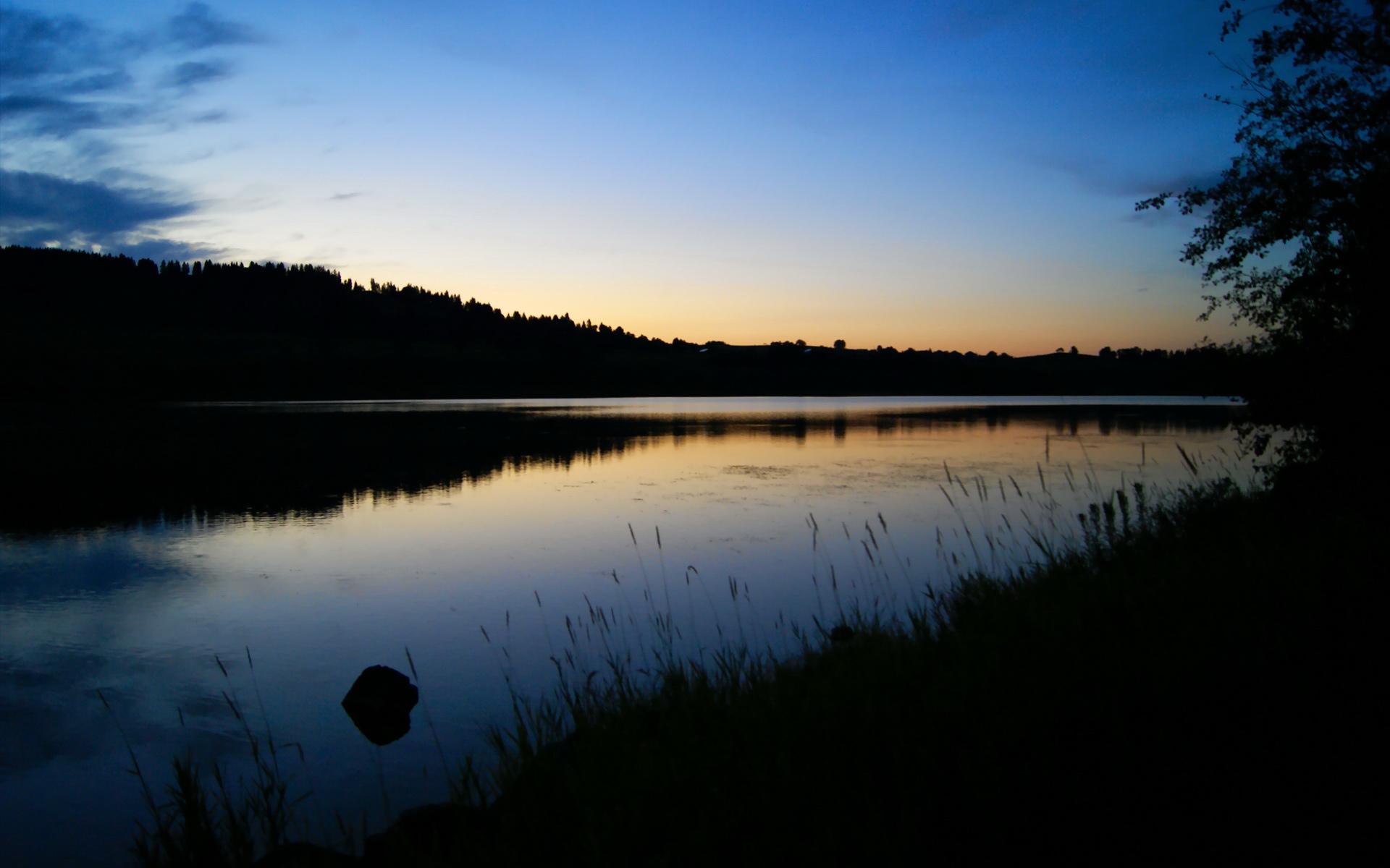 生力啤酒人核心球员发挥稳定,生力啤酒创始人