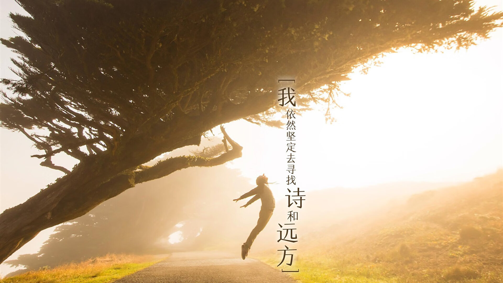 花样百出!国内足球赛事节节高潮,播放国内足球