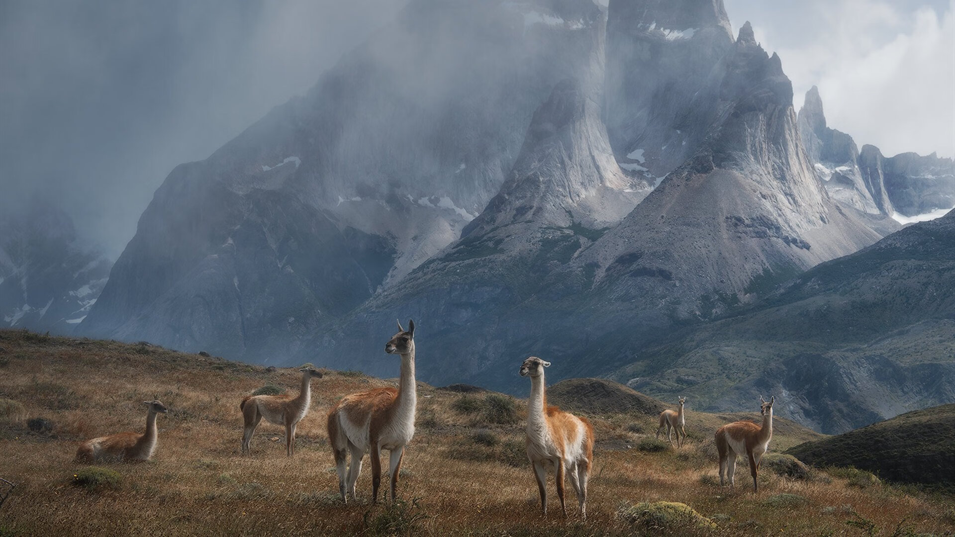 雷霆压哨战胜快船,西部决赛中亚历山大创下生涯新高,亚历山大雷霆球衣