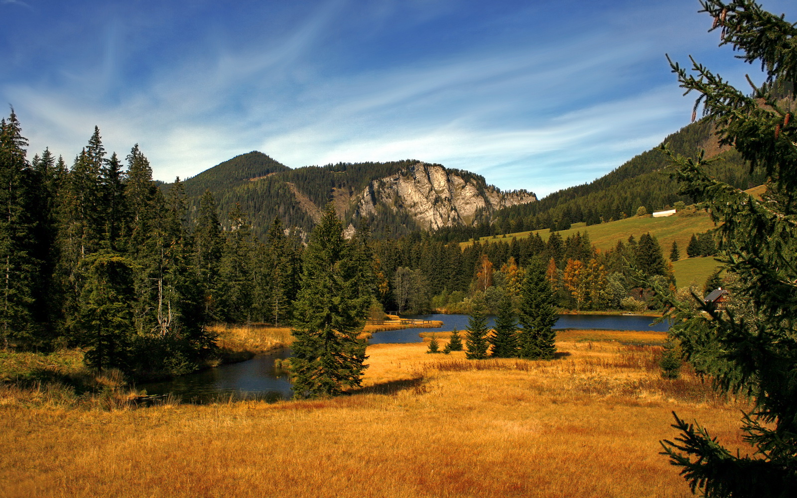 青少年篮球运动员选拔标准，青少年篮球运动员选拔标准是什么
