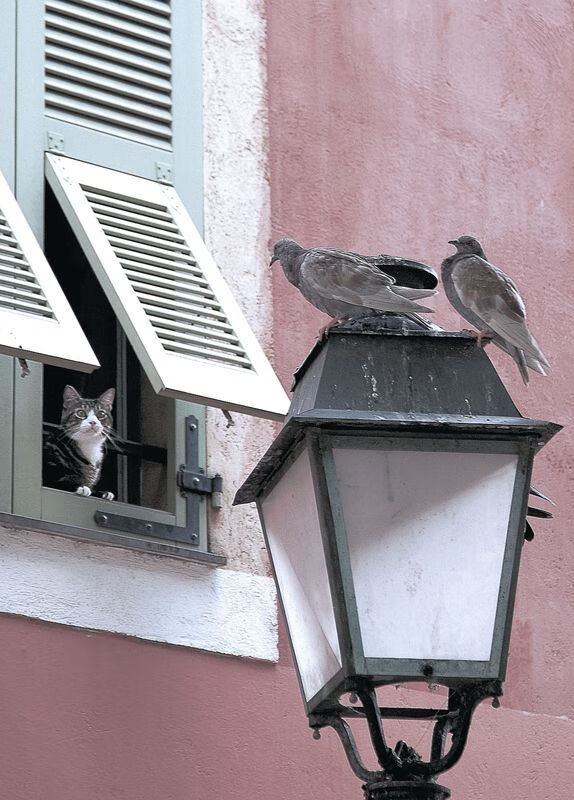 韩国科技企业扩展东南亚市场,韩国科技投入