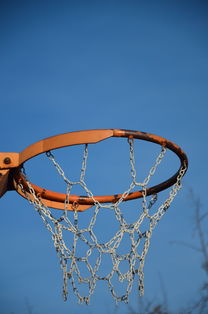 爱游戏体育（AYX）官方APP下载-NBA球队球员培养规划设计，nba对球员的要求是什么