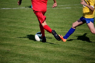 爱游戏登录入口-世界皮划艇世界杯中国男队勇摘银牌，世界皮划艇冠军男子