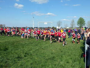 AYX官网-中国篮球青少年篮球发展政策落实与推广，中国青少年篮球发展现状