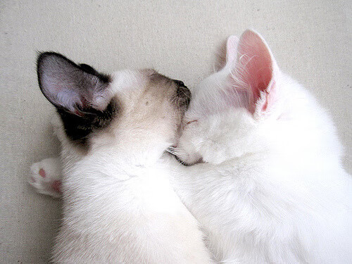 中国足球进攻方向变换频率与效果比对,中国足球方案