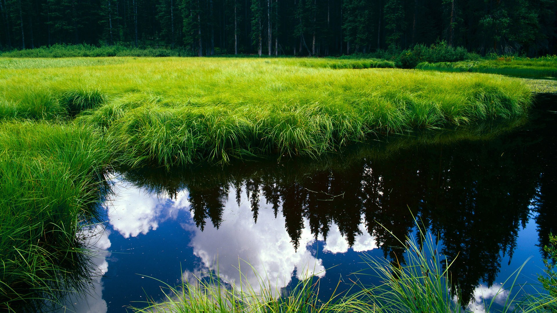 AYX GAME-中国足球门将二次反应时间评估，门将二次触球怎么判罚