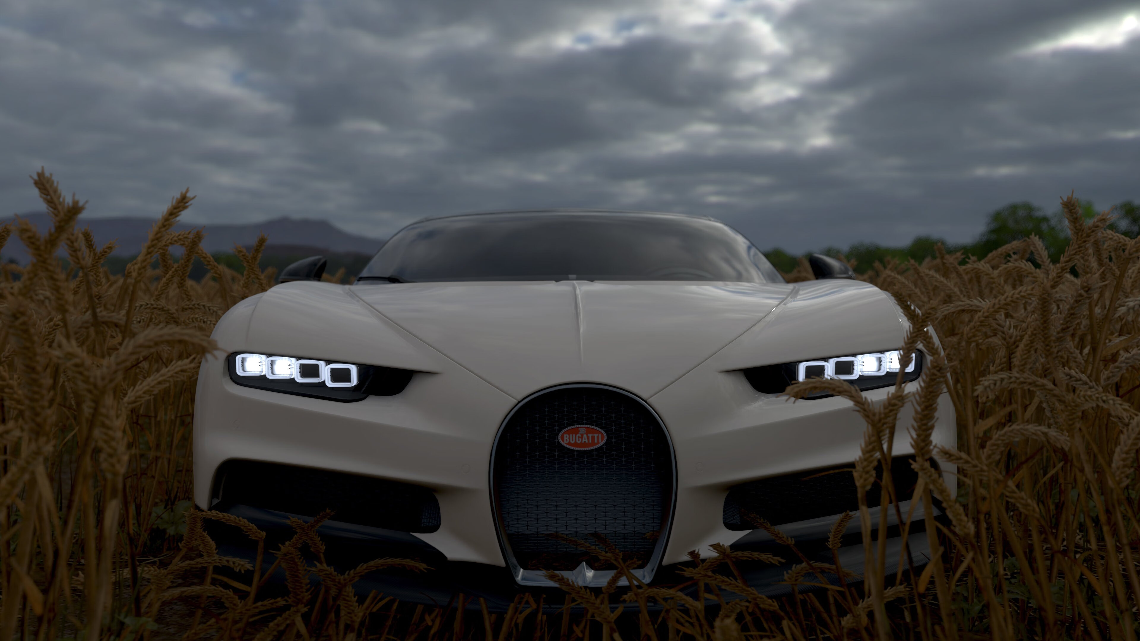 校园体育文化价值观影响研究,校园体育文化的建设与发展