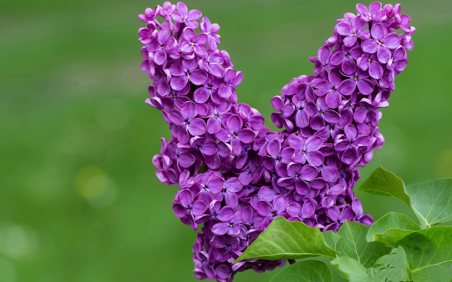 篮球运动员比赛策略智能辅助系统设计与应用，智能篮球训练设备