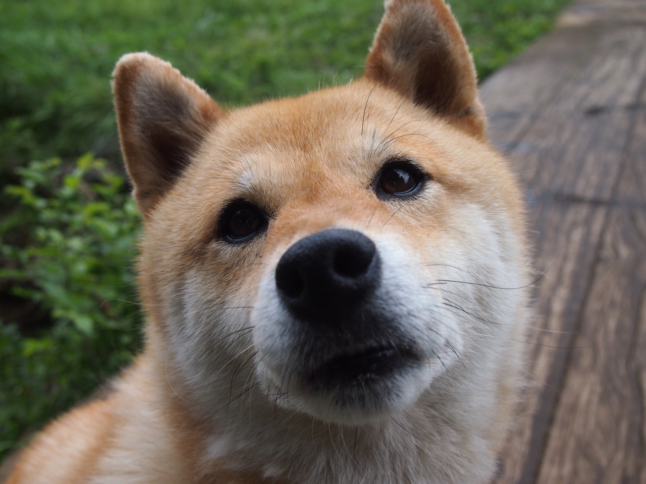 赛事观众行为管理,赛场观众