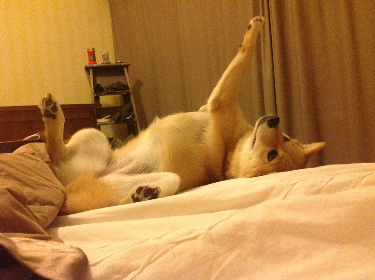 中国香港队的未来：如何借助团体赛事提升球队协作和心理素质，香港队员