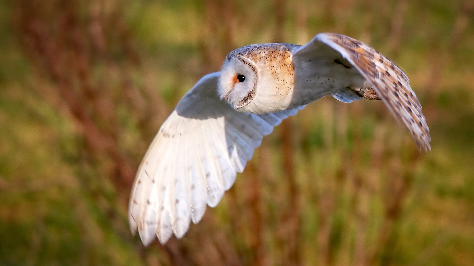 体育新闻中心主办体育新闻专业人才交流会，中国体育科学学会体育新闻传播分会