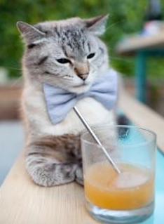 外教更迭频繁影响俱乐部长期战术磨合