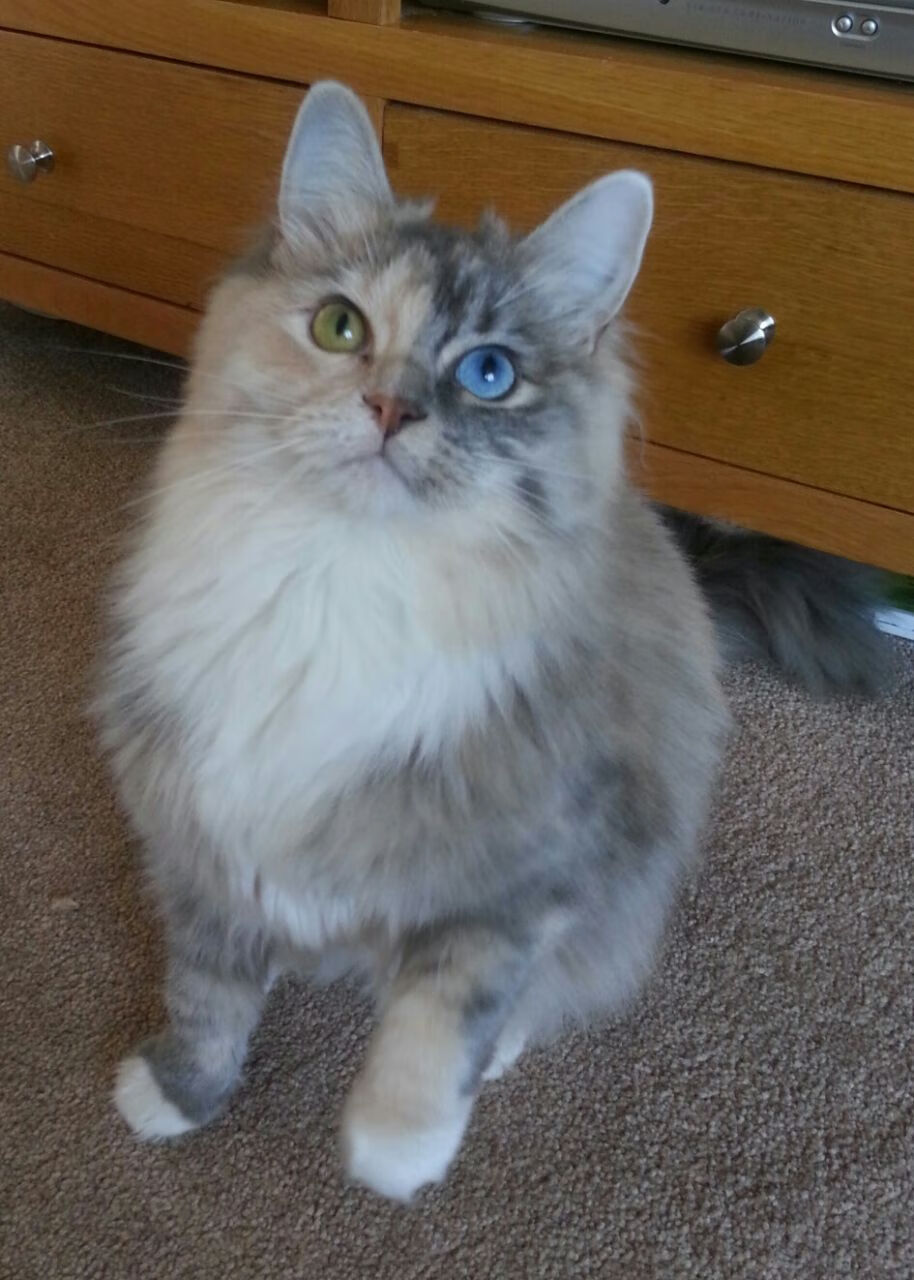 AIYOUXI.COM-中国足球职业联赛球队伤病防护体系完善，中国足球队受伤