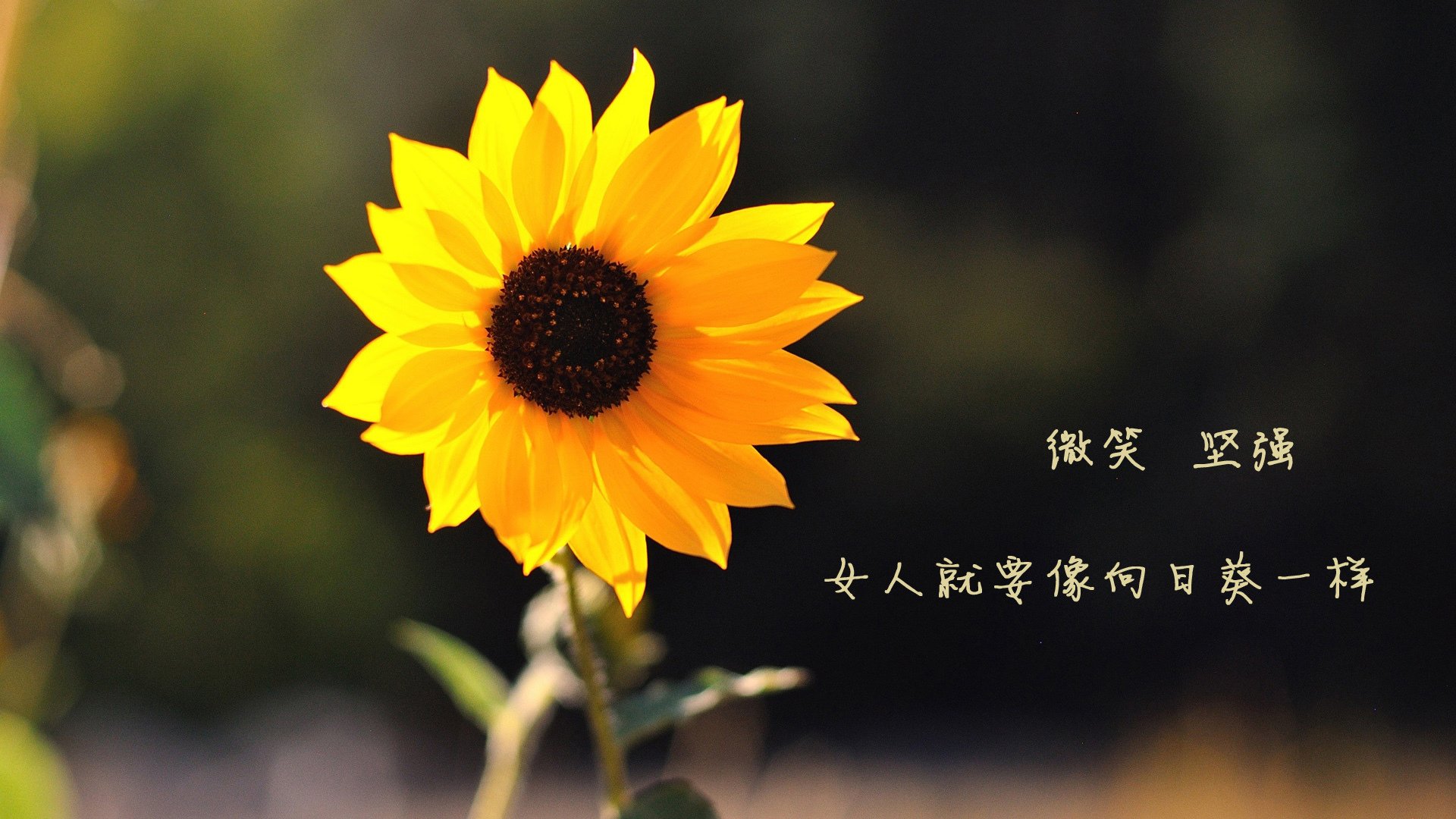 爱游戏-中国足球青少年足球夏令营报名火爆，全国青少年校园足球夏令营活动