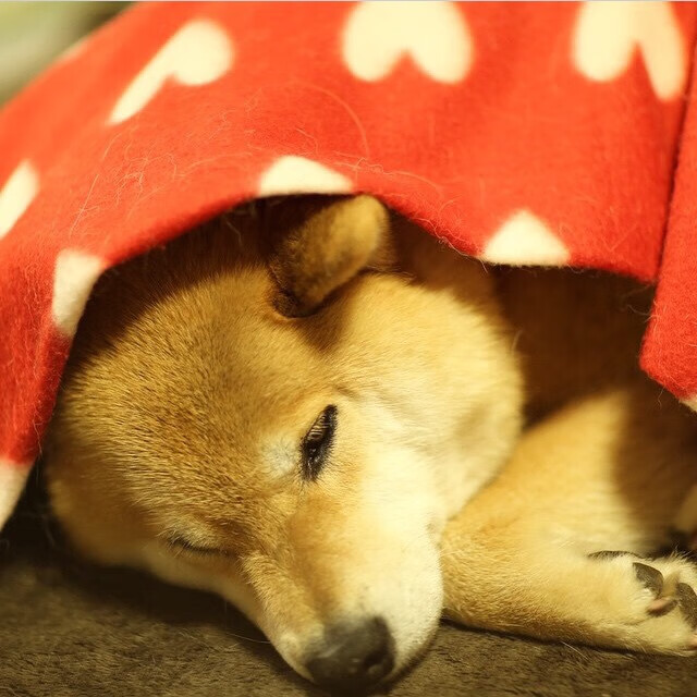 西甲精彩纷呈:攻防交锋,精彩不断!,西甲攻略